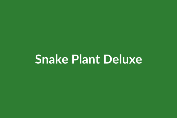 Snake Plant Deluxe