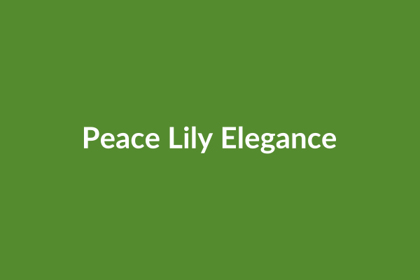 Peace Lily Elegance