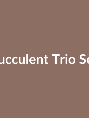 Succulent Trio Set