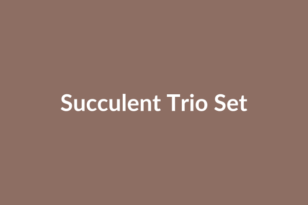Succulent Trio Set