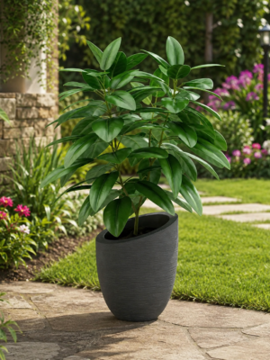 Augue Neque - potted plant in garden setting