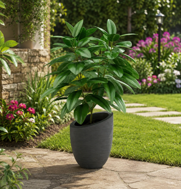 Augue Neque - potted plant in garden setting